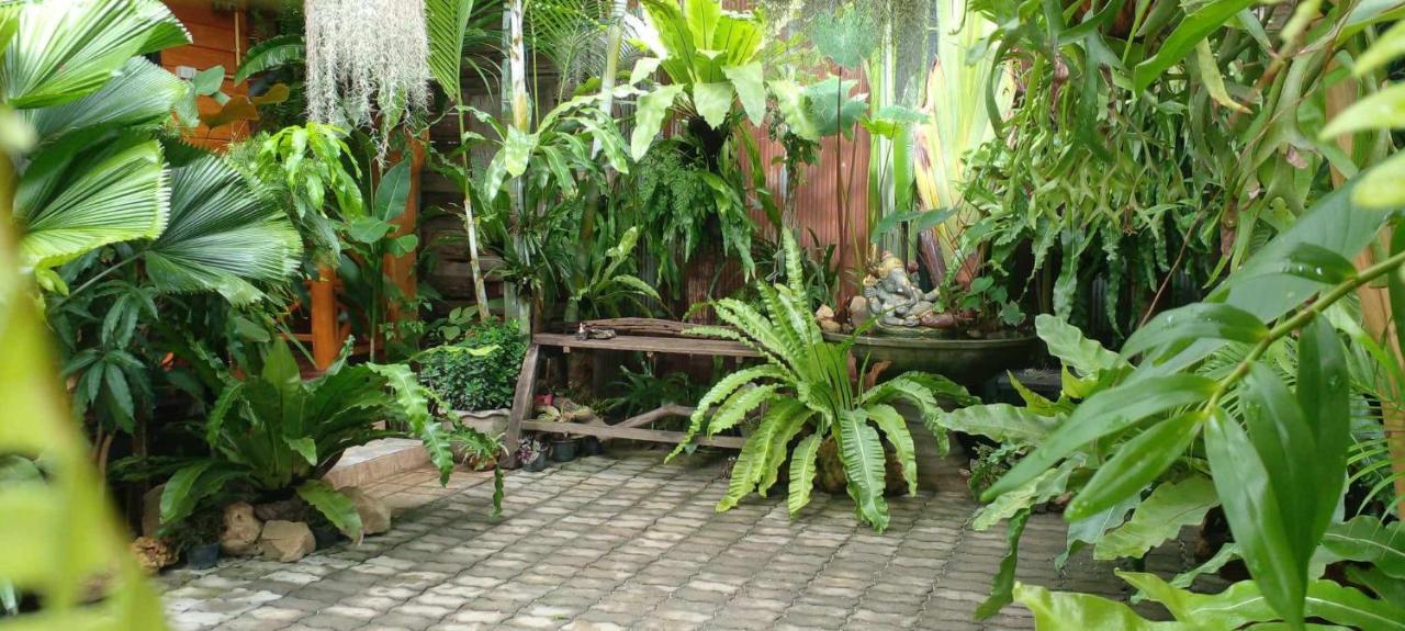 Ouychai Resort Home Stay Chiang Mai Exterior photo